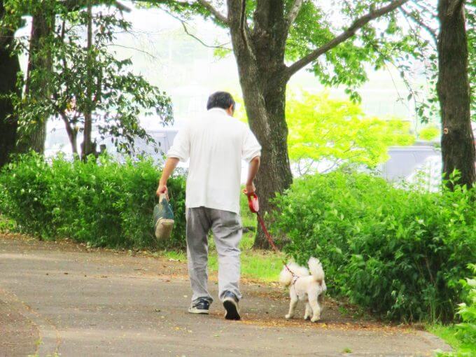 高齢者_犬の散歩