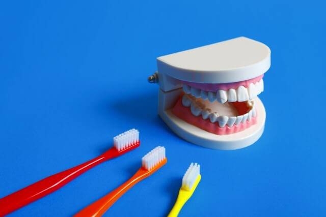 歯周病とは_歯周病の症状や進行度合い